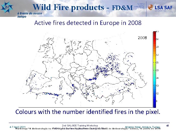 Wild Fire products - FD&M à frente do nosso tempo Active fires detected in