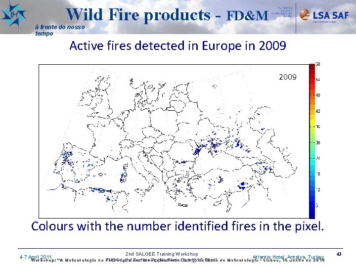 Wild Fire products - FD&M à frente do nosso tempo Active fires detected in