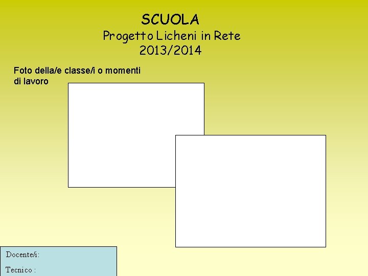 SCUOLA Progetto Licheni in Rete 2013/2014 Foto della/e classe/i o momenti di lavoro Docente/i: