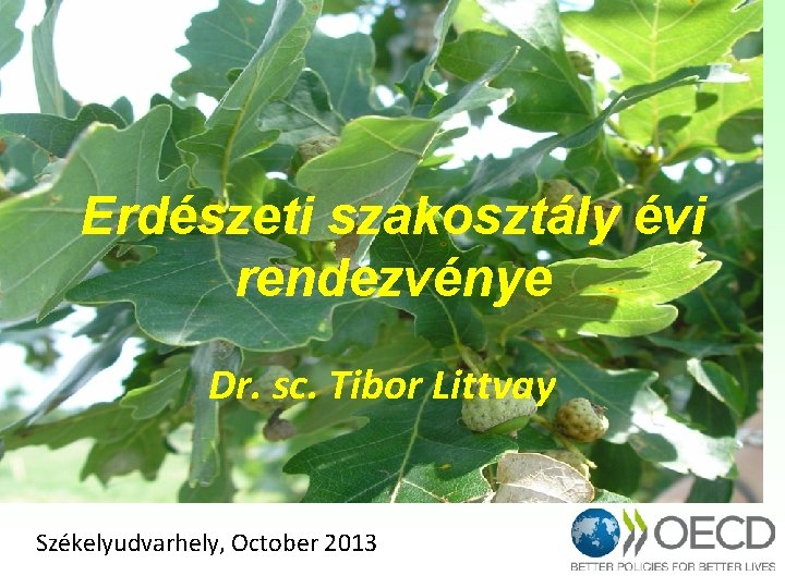 Erdészeti szakosztály évi rendezvénye Dr. sc. Tibor Littvay Székelyudvarhely, October 2013 