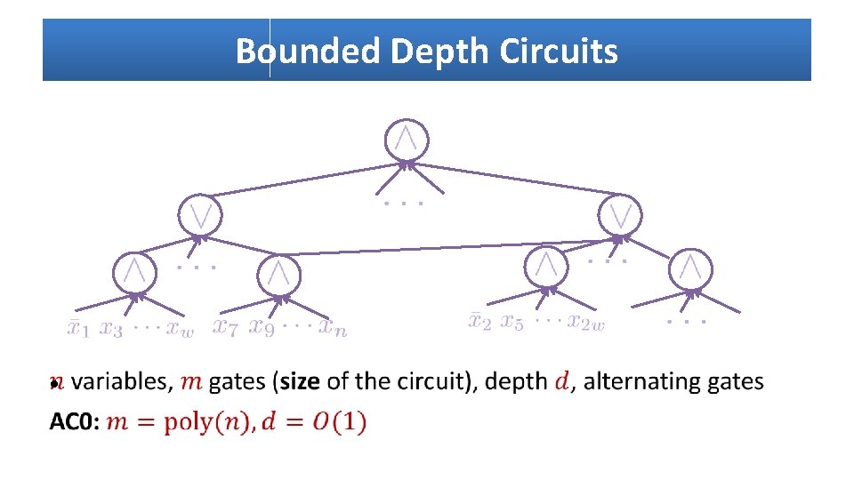 Bounded Depth Circuits • 