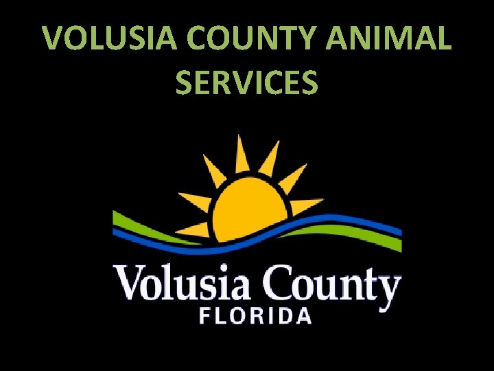 VOLUSIA COUNTY ANIMAL SERVICES 