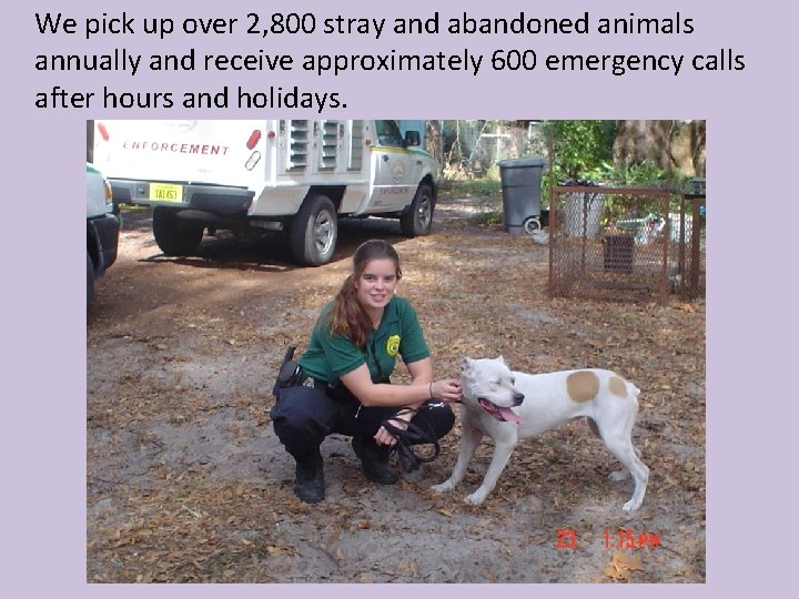 We pick up over 2, 800 stray and abandoned animals annually and receive approximately