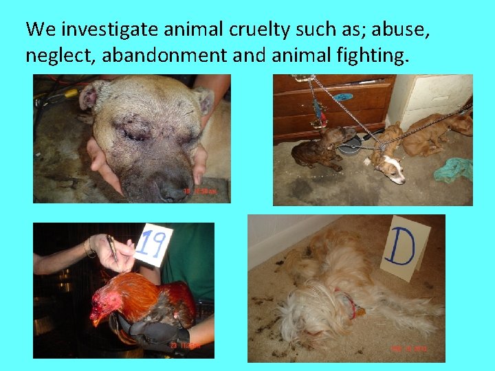 We investigate animal cruelty such as; abuse, neglect, abandonment and animal fighting. 