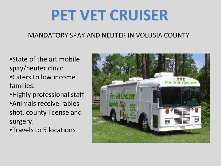 PET VET CRUISER MANDATORY SPAY AND NEUTER IN VOLUSIA COUNTY • State of the