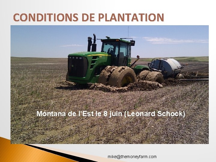 CONDITIONS DE PLANTATION Montana de l’Est le 8 juin (Leonard Schock) mike@themoneyfarm. com 