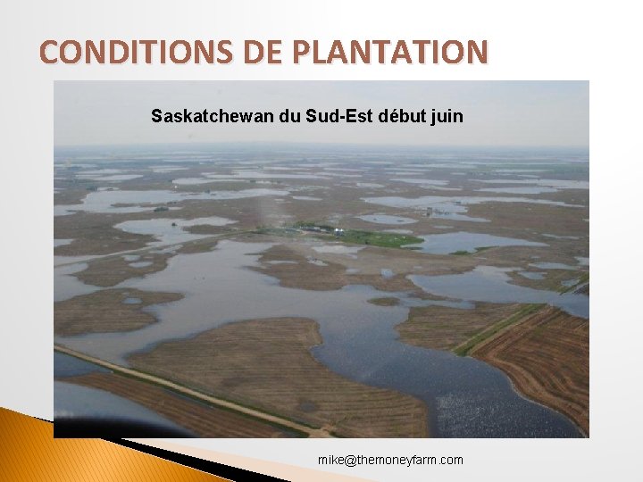 CONDITIONS DE PLANTATION Saskatchewan du Sud-Est début juin mike@themoneyfarm. com 