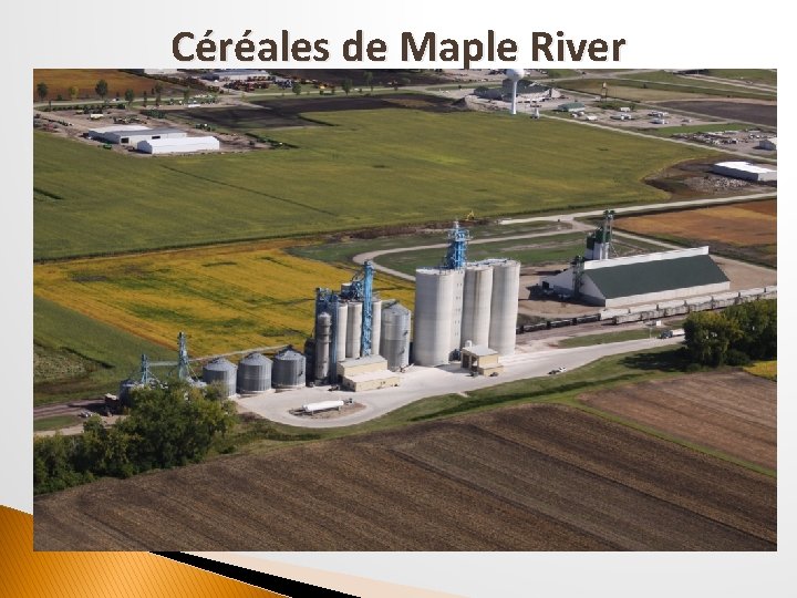 Céréales de Maple River 