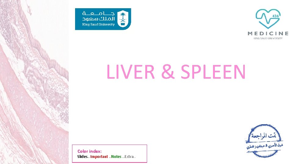 LIVER & SPLEEN Color index: Slides. . Important. . Notes. . Extra. . 