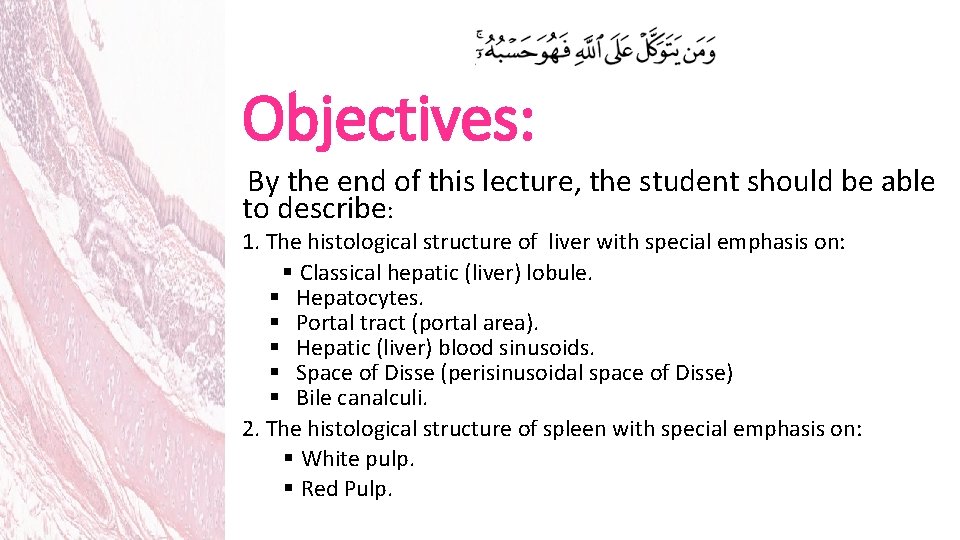 Objectives: By the end of this lecture, the student should be able to describe: