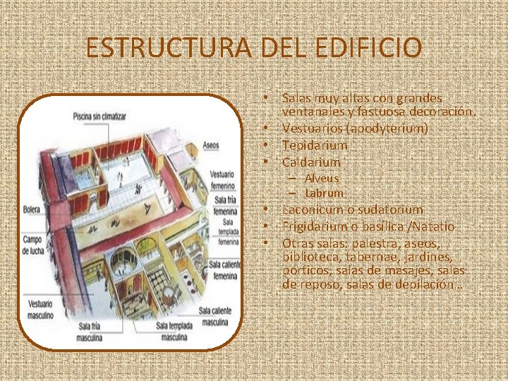 ESTRUCTURA DEL EDIFICIO • Salas muy altas con grandes ventanales y fastuosa decoración. •