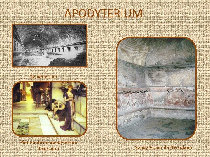 APODYTERIUM Apodyterium Pintura de un apodyterium femenino Apodyterium de Herculano 