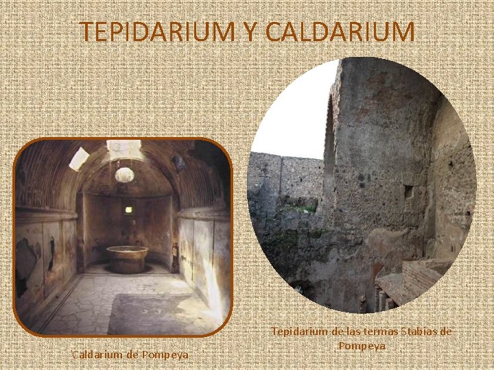TEPIDARIUM Y CALDARIUM Caldarium de Pompeya Tepidarium de las termas Stabias de Pompeya 
