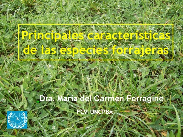Principales características de las especies forrajeras Dra. María del Carmen Ferragine FCV-UNCPBA 1/30/2022 Características