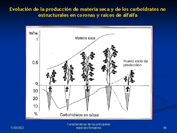 Evolución de la producción de materia seca y de los carboidratos no estructurales en