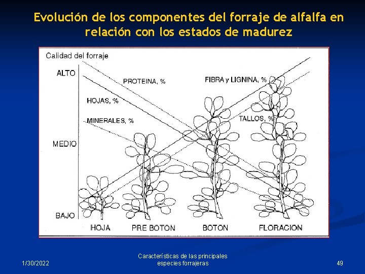Evolución de los componentes del forraje de alfalfa en relación con los estados de