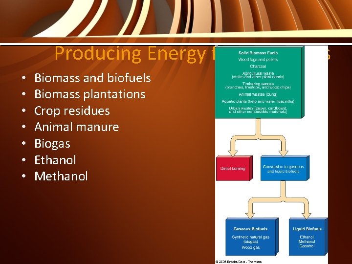 Producing Energy from Biomass • • Biomass and biofuels Biomass plantations Crop residues Animal