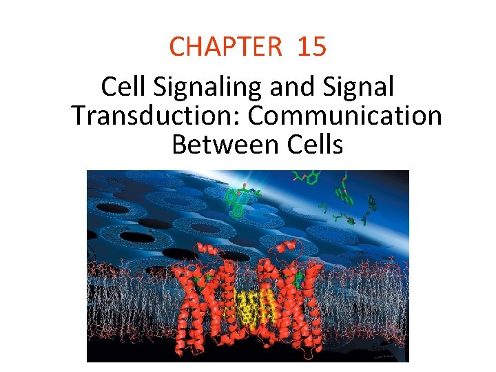 CHAPTER 15 Cell Signaling and Signal Transduction: Communication Between Cells 