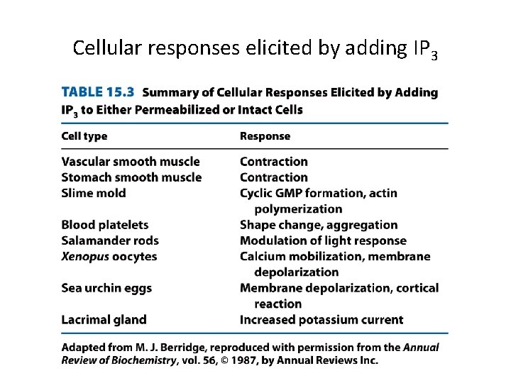 Cellular responses elicited by adding IP 3 