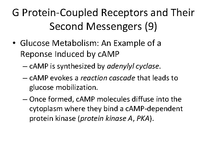 G Protein-Coupled Receptors and Their Second Messengers (9) • Glucose Metabolism: An Example of