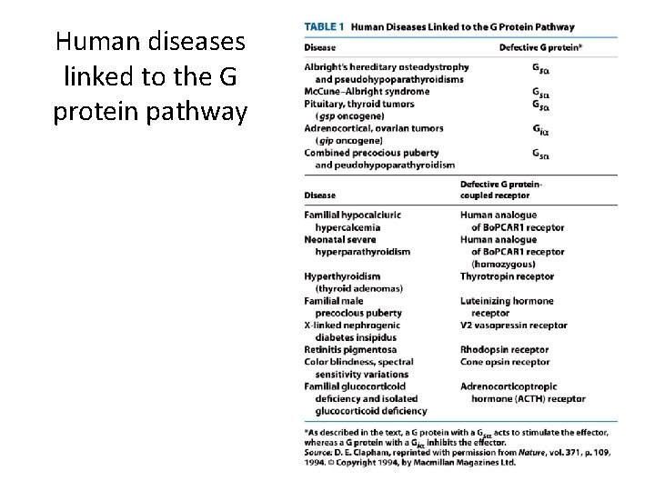 Human diseases linked to the G protein pathway 