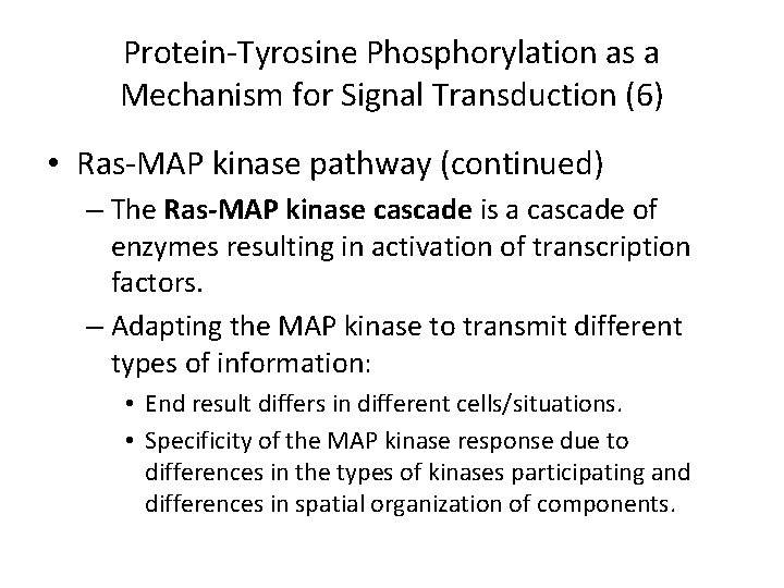 Protein-Tyrosine Phosphorylation as a Mechanism for Signal Transduction (6) • Ras-MAP kinase pathway (continued)