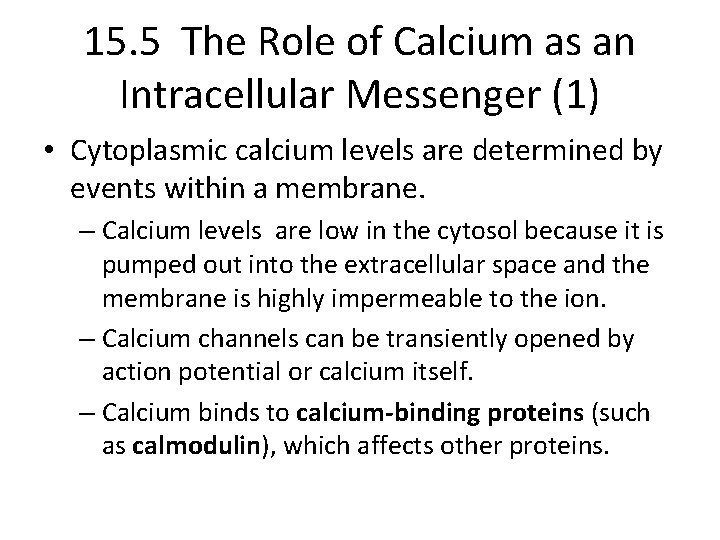 15. 5 The Role of Calcium as an Intracellular Messenger (1) • Cytoplasmic calcium