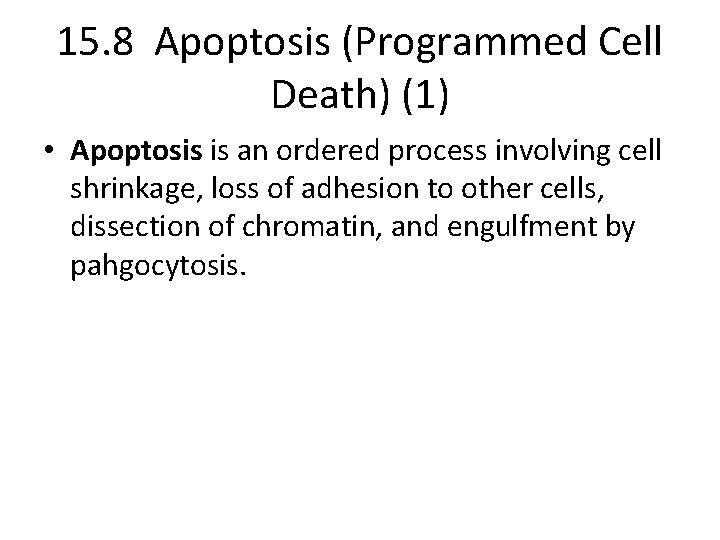 15. 8 Apoptosis (Programmed Cell Death) (1) • Apoptosis is an ordered process involving