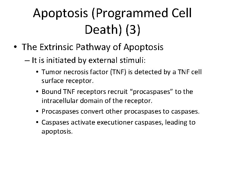 Apoptosis (Programmed Cell Death) (3) • The Extrinsic Pathway of Apoptosis – It is