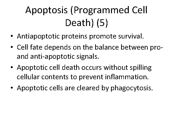 Apoptosis (Programmed Cell Death) (5) • Antiapoptotic proteins promote survival. • Cell fate depends
