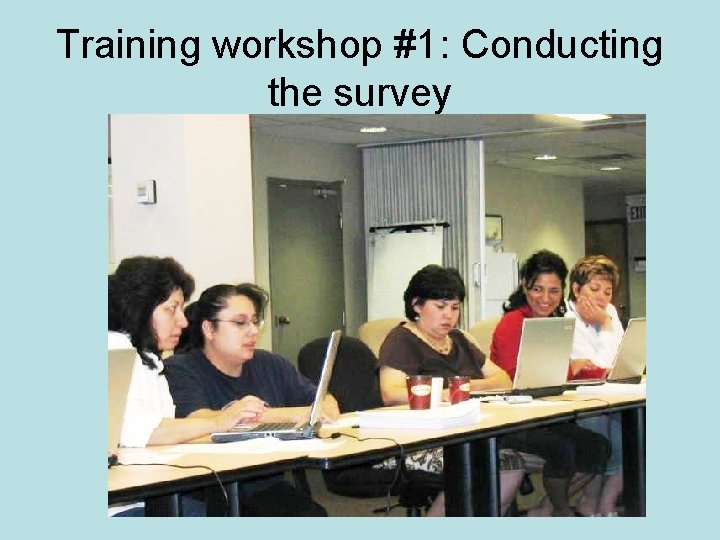 Training workshop #1: Conducting the survey 