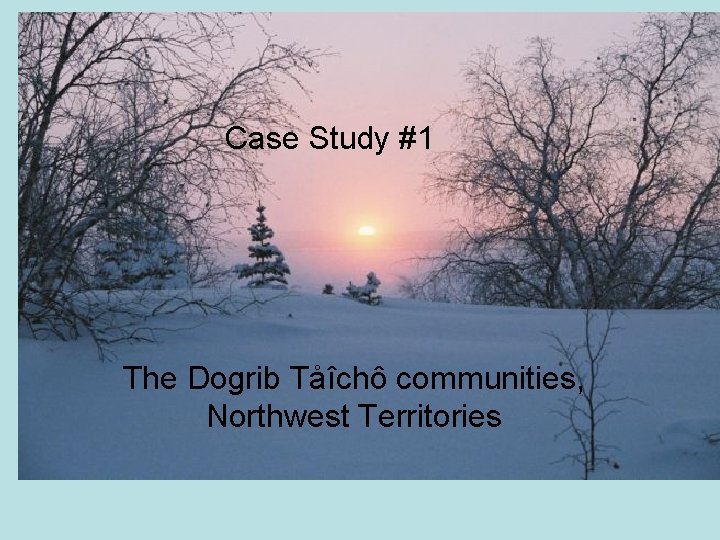 Case Study #1 The Dogrib Tåîchô communities, Northwest Territories 