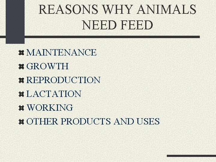 REASONS WHY ANIMALS NEED FEED MAINTENANCE GROWTH REPRODUCTION LACTATION WORKING OTHER PRODUCTS AND USES