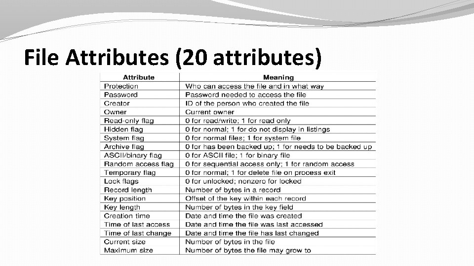 File Attributes (20 attributes) 