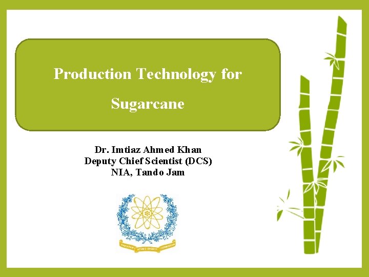 Production Technology for Sugarcane Dr. Imtiaz Ahmed Khan Deputy Chief Scientist (DCS) NIA, Tando