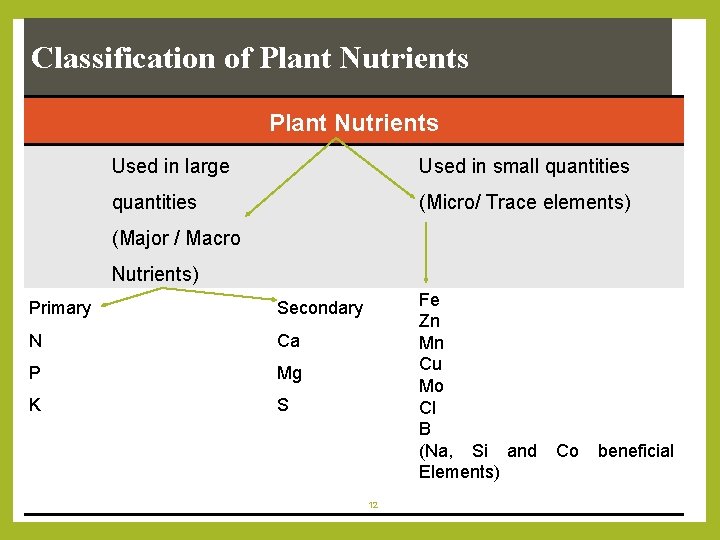 Classification of Plant Nutrients Used in large Used in small quantities (Micro/ Trace elements)