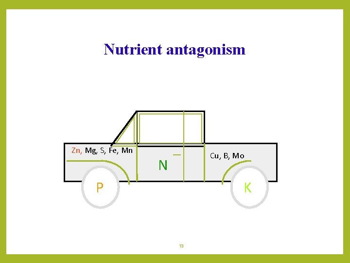 Nutrient antagonism Zn, Mg, S, Fe, Mn Cu, B, Mo N P K 13