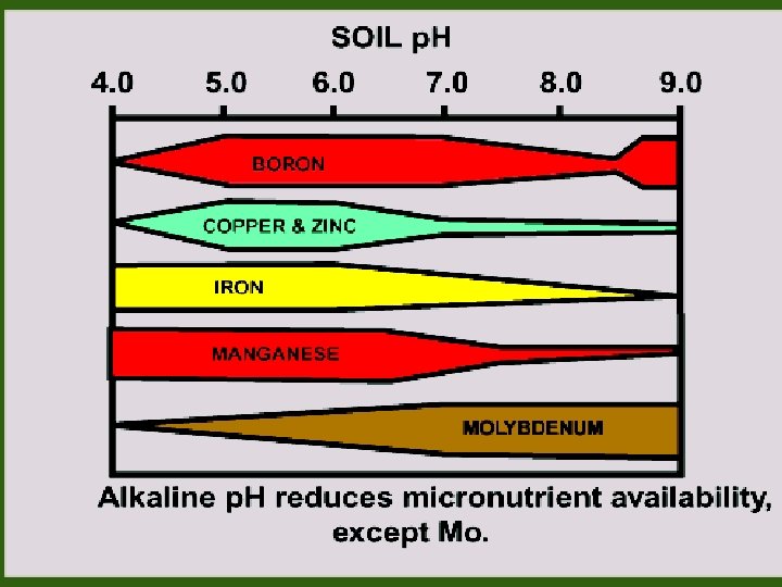 Causes of Deficiencies? v Soils’ Chemistry v Decreased Manure Use v Micronutrient Mining v