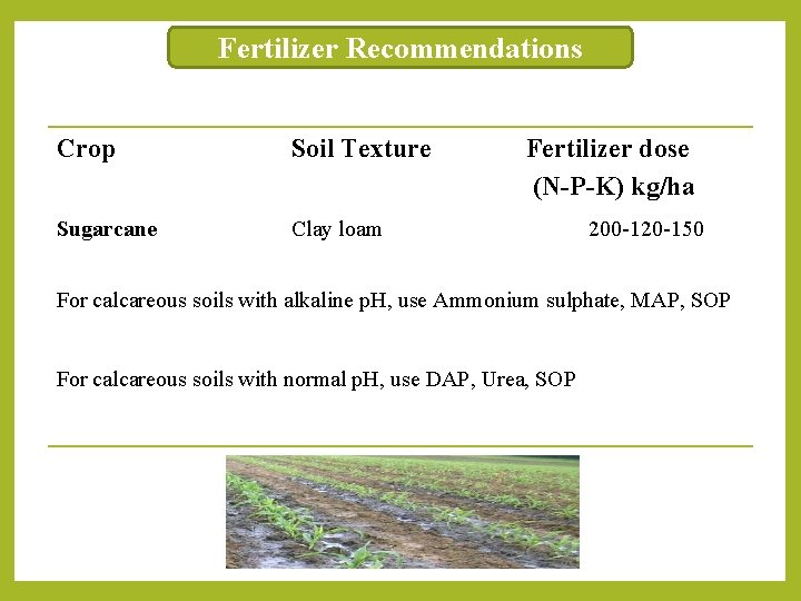 Fertilizer Recommendations Crop Soil Texture Sugarcane Clay loam Fertilizer dose (N-P-K) kg/ha 200 -120