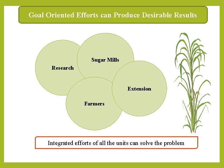 Goal Oriented Efforts can Produce Desirable Results Sugar Mills Research Extension Farmers Integrated efforts