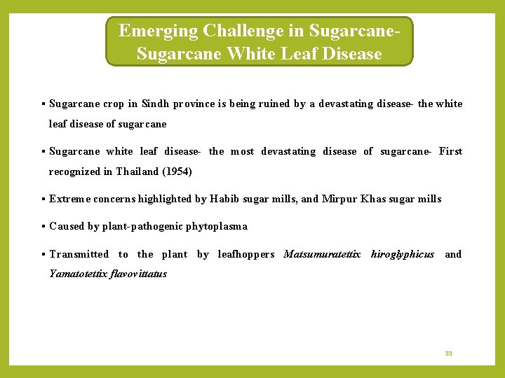 Emerging Challenge in Sugarcane White Leaf Disease § Sugarcane crop in Sindh province is