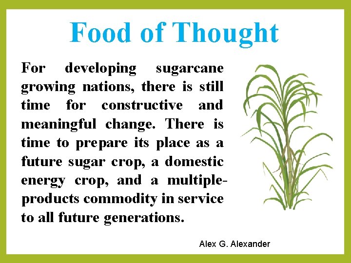 Food of Thought For developing sugarcane growing nations, there is still time for constructive