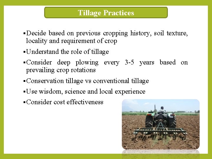 Tillage Practices § Decide based on previous cropping history, soil texture, locality and requirement