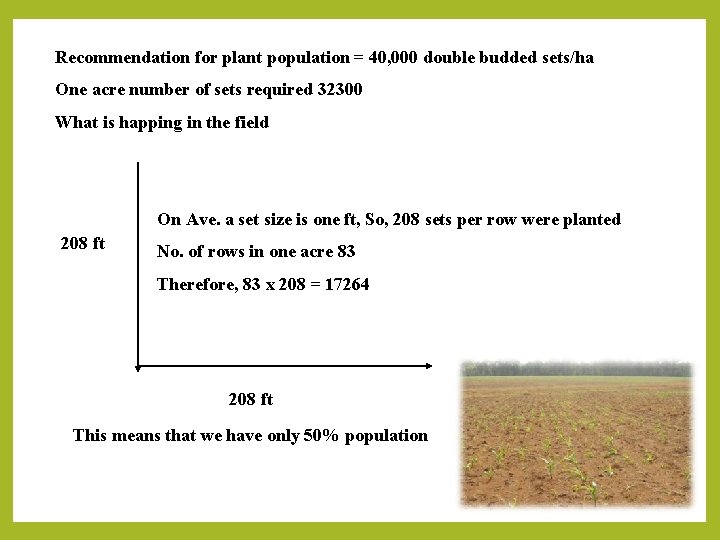 Recommendation for plant population = 40, 000 double budded sets/ha One acre number of