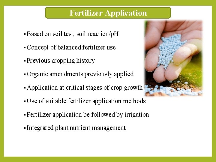 Fertilizer Application § Based on soil test, soil reaction/p. H § Concept of balanced