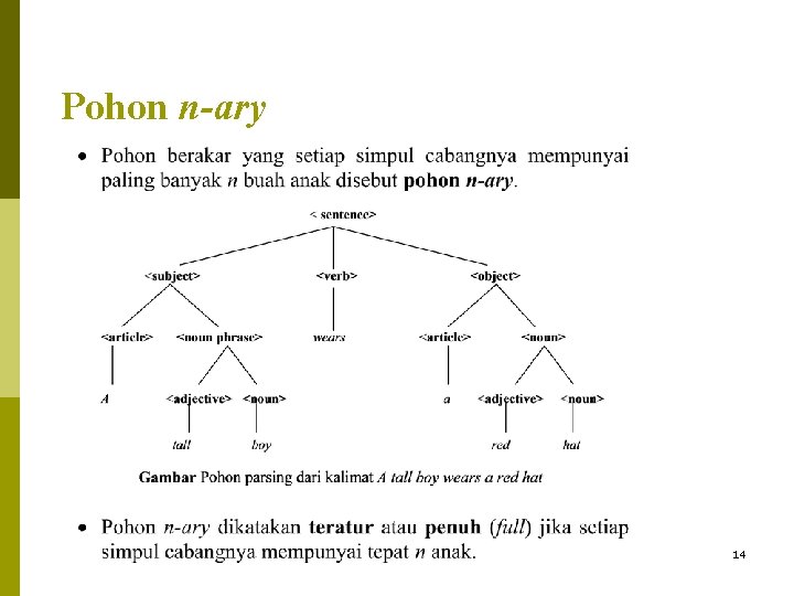 Pohon n-ary 14 