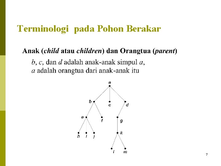 Terminologi pada Pohon Berakar 7 