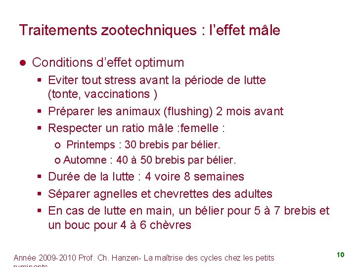 Traitements zootechniques : l’effet mâle l Conditions d’effet optimum § Eviter tout stress avant