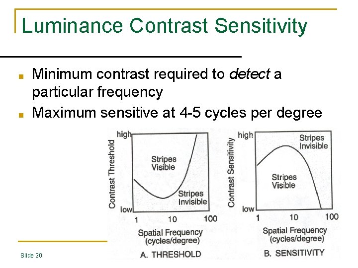 Luminance Contrast Sensitivity ■ ■ Minimum contrast required to detect a particular frequency Maximum
