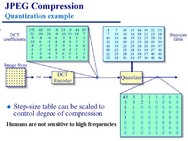 Humans are not sensitive to high frequencies Slide 33 